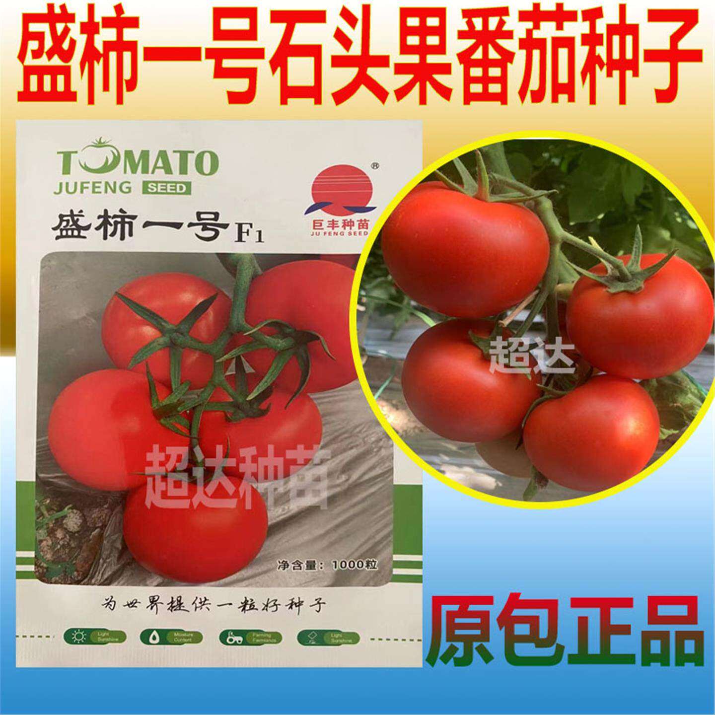 盛柿一号石头果番茄种子籽