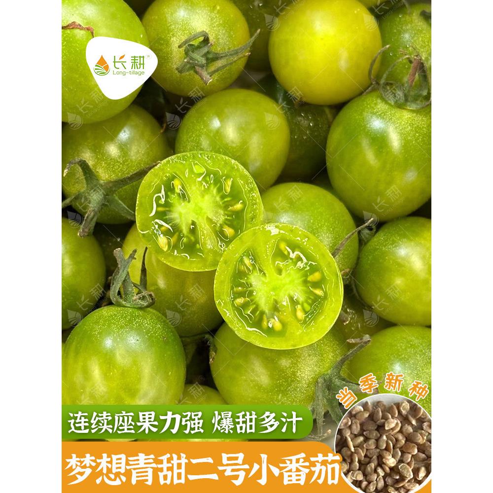 超甜青2号樱桃番茄种子小