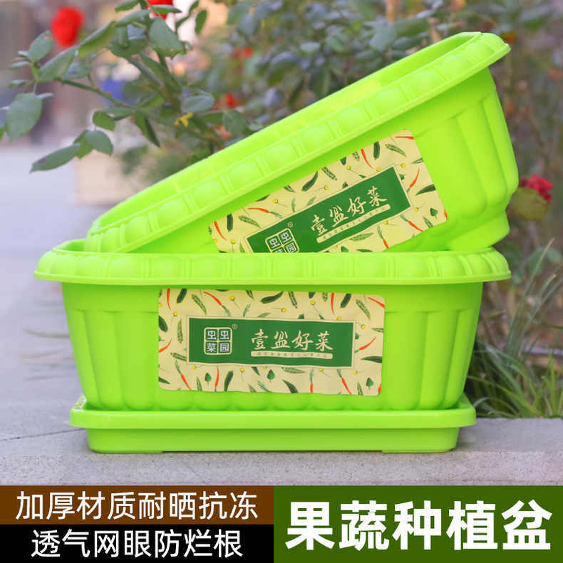 加厚种菜盆长方形塑料花阳