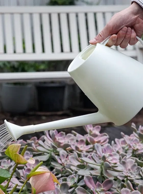 浇水壶花洒家用园艺神器专用盆栽工具菜喷水壶多肉长嘴浇花洒水壶