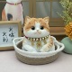 猫咪捏捏乐可爱猫玩偶硅胶解压玩具女孩生日礼物解压高级摆件橘猫
