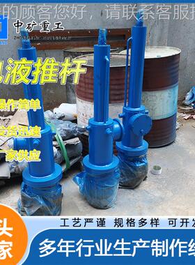 直式动推动器齐全DYTZ型电液动推 电液动推杆DT1杆50电0-700电动