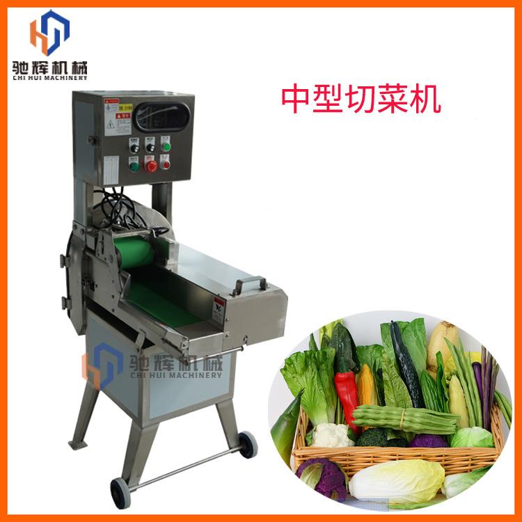 变频调速切菜机 中型单头蔬菜切菜机 可调厚薄哈密瓜/木瓜切片机