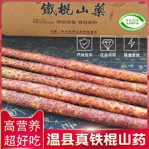 超好吃乌鸡土红锈铁棍山药高营养
