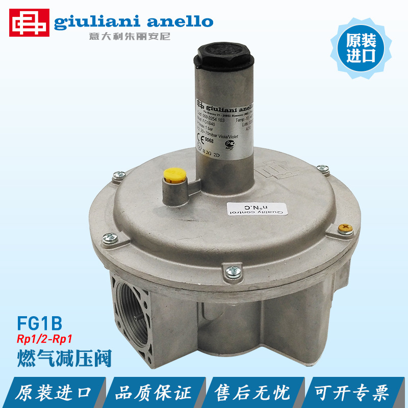 朱丽安尼Giuliani燃气减压阀FG1B