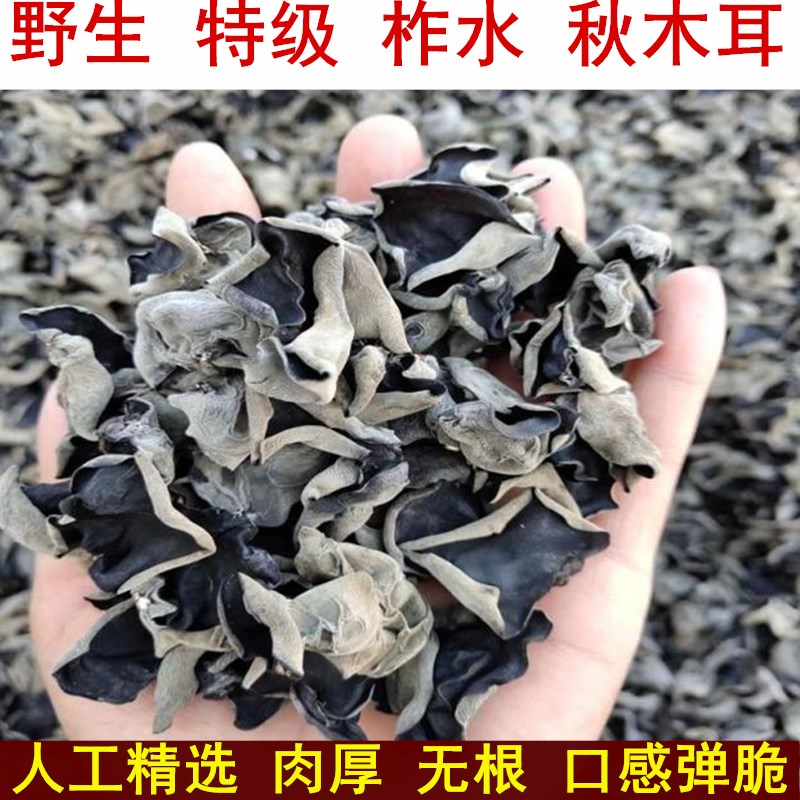 陕西柞水秋木耳干货500g秦岭纯野生椴黑木耳云耳无根农家小碗木耳