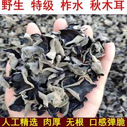 正宗陕西柞水木耳500克秦岭野生木耳干货云耳无根软糯精选东北
