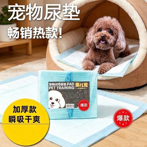 宠物尿垫加厚除臭防漏狗狗尿片一次性吸水垫尿不湿锁水大码免洗款