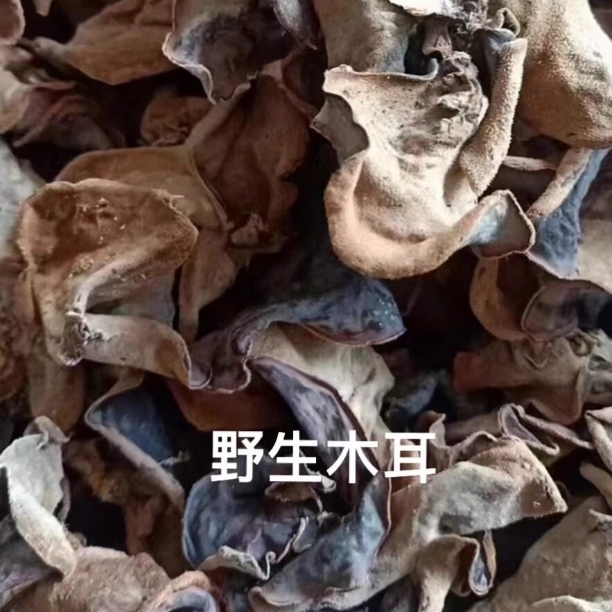 韶关高山野生黑木耳500克新鲜晒干无添加原生态木耳干一斤一大包