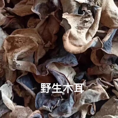 野生黑木耳500克新鲜晒干无添加