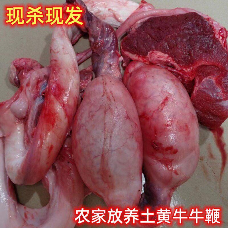 顺丰新鲜现杀土黄牛鞭一整副5斤以上韶关高山农家放养土黄牛肉