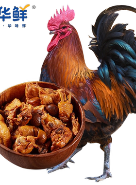 立华鲜 雪山鸡S168雪山草公鸡谷物农养整只鸡 鸡公煲红烧鸡1kg