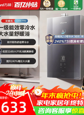 万和零冷水燃气热水器16升天然气静音下置风机水伺服增压LS9DPRO