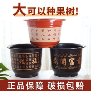 花盆仿陶瓷树脂塑料果树盆特大号盆栽绿植果树绿萝月季 牡丹花盆