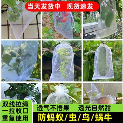 水果套袋果树防鸟防虫网袋火龙果葡萄无花果石榴保护桃子袋青瓜
