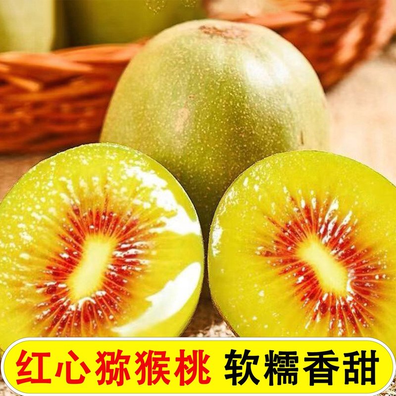 正宗四川蒲江红心猕猴桃奇异果当季新鲜水果50g-130g(10-30粒)