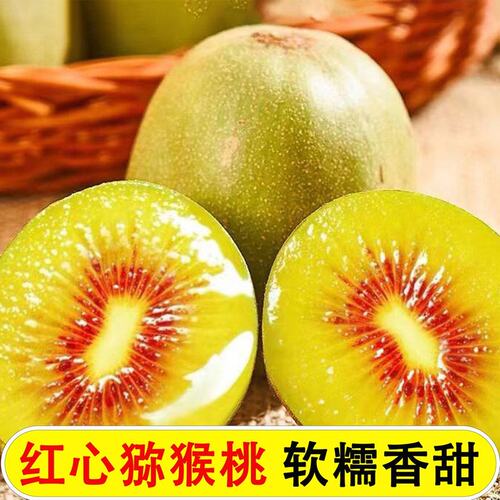 正宗四川蒲江红心猕猴桃奇异果当季新鲜水果50g-130g(10-30粒)