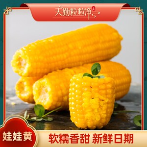 试吃2支天勤粒粒净300-350g*9支有机黄糯玉米ZS铝箔包装