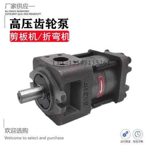 上海航发内啮合齿轮泵 NBZ2-G10FG12FG16FNBZ3-G20FG25FG32高压泵