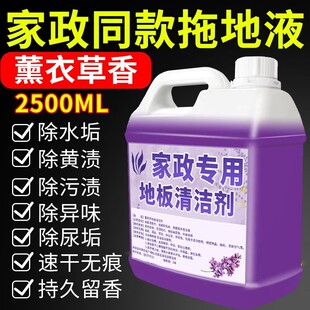 薰衣草香桂花地板清洁剂瓷砖木地板拖地专用清洁液家用去污清洗剂