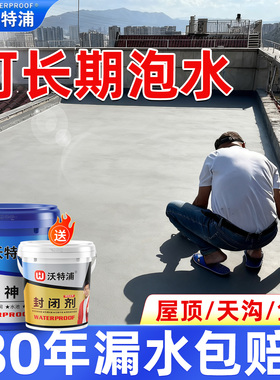 沃特浦屋顶防水补漏材料房顶漏水天沟楼顶防漏防水胶裂缝渗水涂料