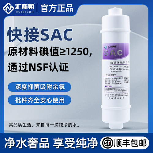 汇斯顿烧结炭滤芯纯水机活性炭椰壳碳10寸快接滤芯SAC家庭用滤芯