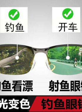 钓鱼眼睛镜看漂专用湖泊射鱼眼镜钓鱼开车看漂变色高清偏光男墨镜