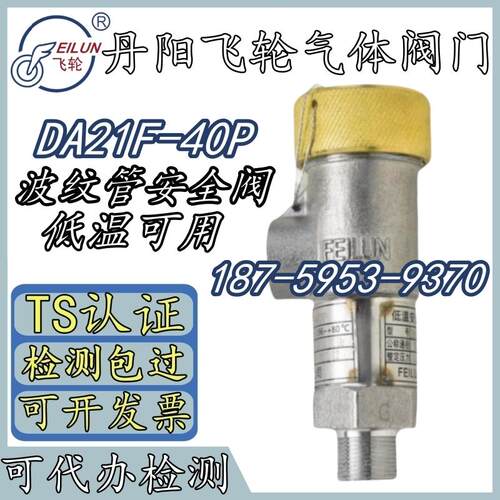 丹阳飞轮DA21F-40P低温安全阀