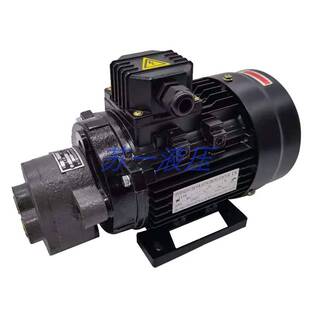 B63 B125齿轮油泵电机 B25 B40 B16 B10 B6JZ B100 新款 B50