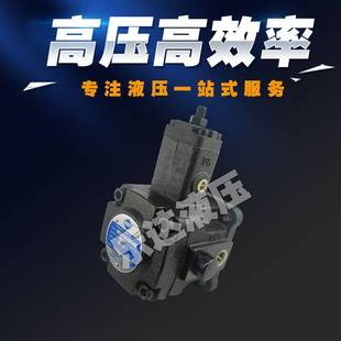 10变量叶片泵海特克HIGH VPV1 新款