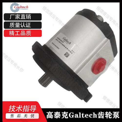 新款高泰克液压油泵Galtech齿轮泵1SPA5.0D-10N 1SPA6.3D-10N液压