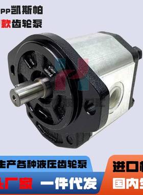 新款凯斯帕液压油泵CASAPPA齿轮泵PLP20-4/6.3/7.2/8/9/10/11.2液