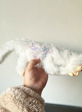 纯种布偶猫德文猫幼崽英短金渐层幼猫矮脚猫银渐层小猫咪