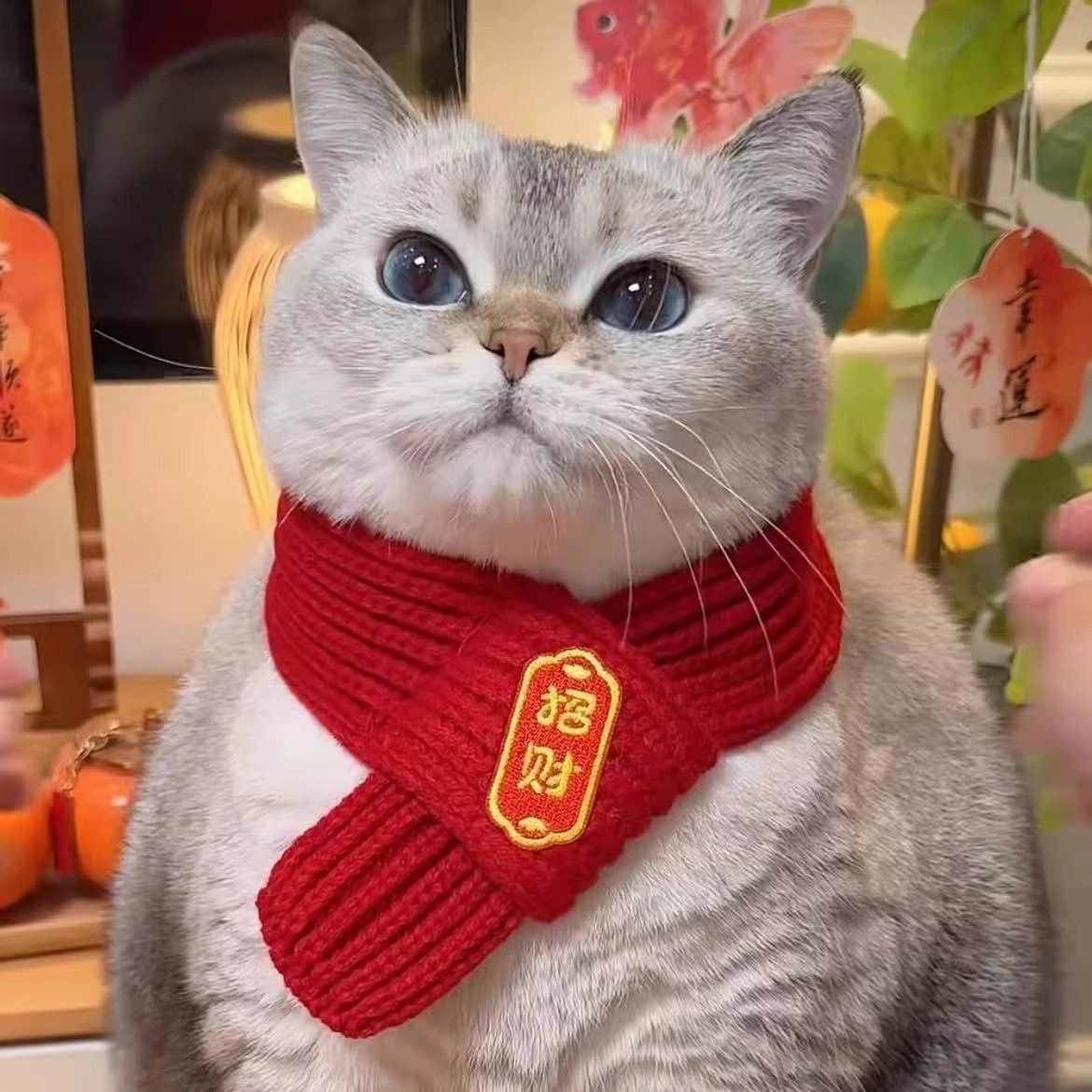 猫咪狗狗围脖新年宠物配饰装饰围巾红色可爱毛线保暖针织圣诞围巾