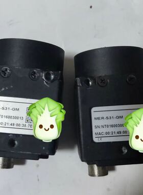可维修大恒MER-S31-GM相机，实际对应型号为 MER-030询价