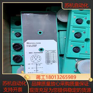 PEPPERL＋FUCHS倍加福180248 V1-8A-E