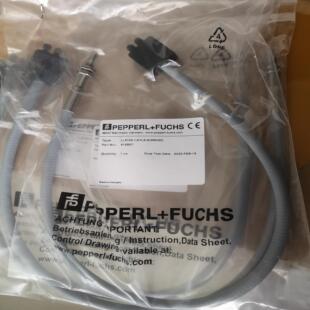 04150 G光 LLR30倍加福 ×6 玻璃 德峰