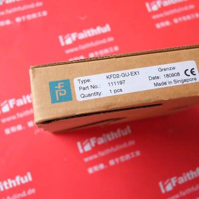 PepperlFuchs 111197 倍加福全新通用温度