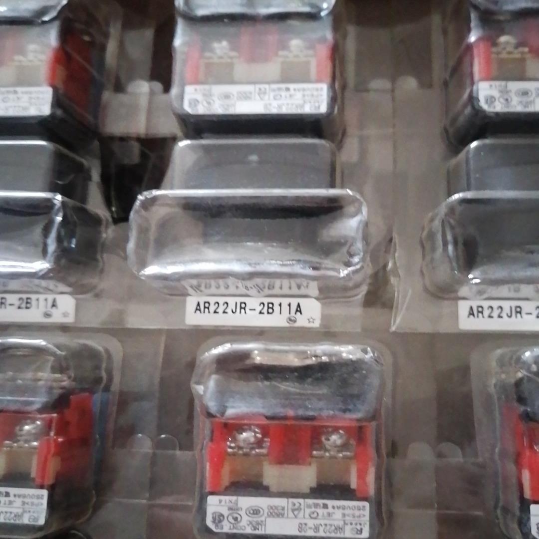 Fuji  富士  钥匙选择开关 AR22JR-2B11A