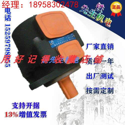 榆次液压柱销式叶片泵PFE-41056 41070 41085-1DT原厂