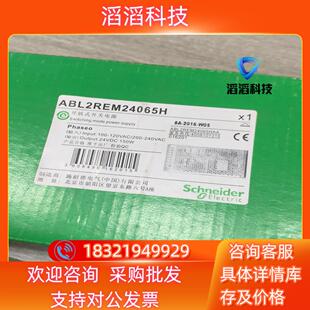 现货全新原装开关电源ABL2REM24065H  100-