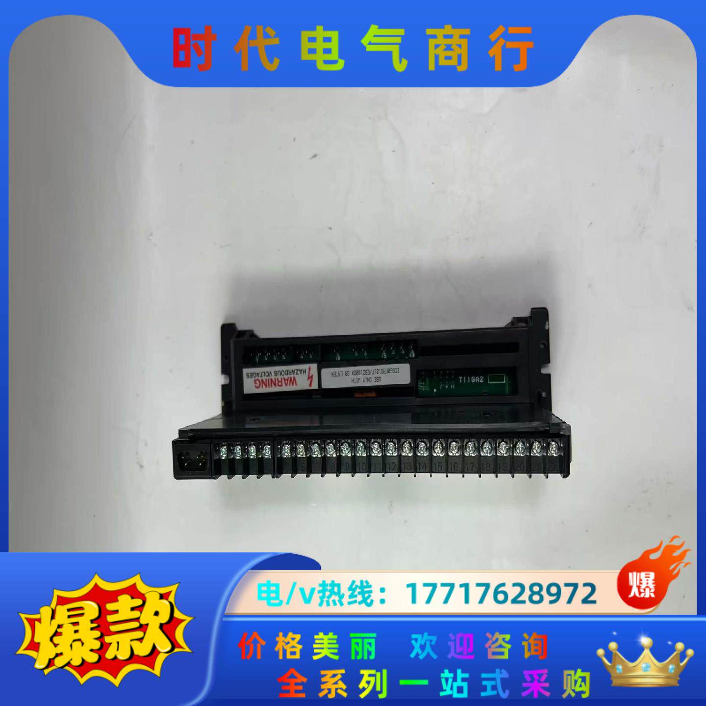 GE  IC660EBD101     模块，拍前议价