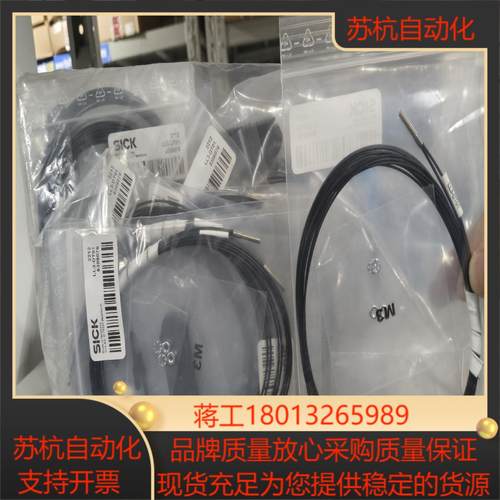 LL3-DT01订货号5308076德国SICK原装正品西克