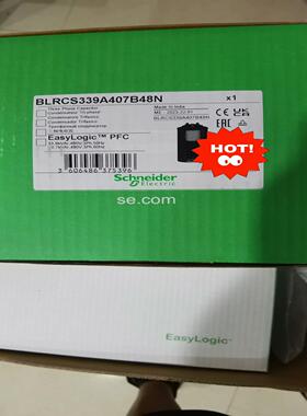 BLRCS339A407B48N ，一共8台，电容器全