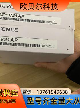 CZ-V21AP全新恩士放大器，，。2个！