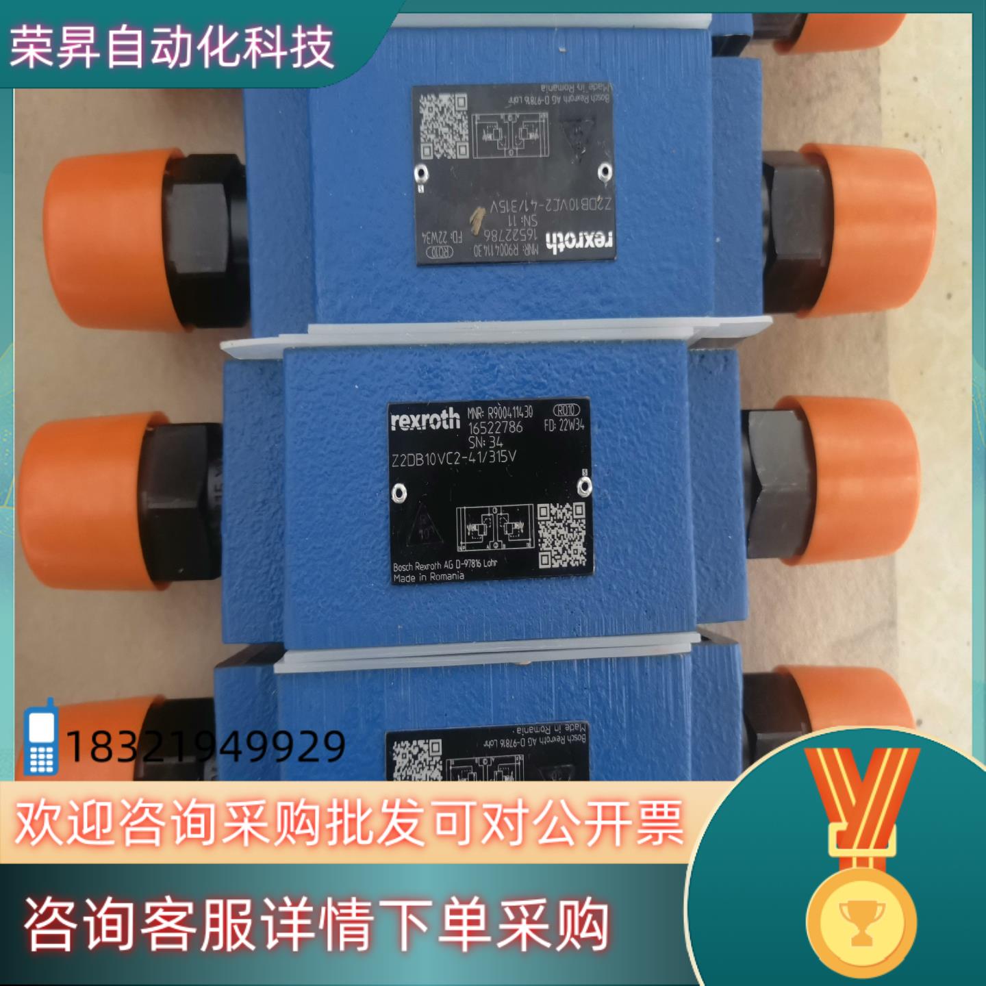 R900411430  Z2DB10VC2-4X/315V现