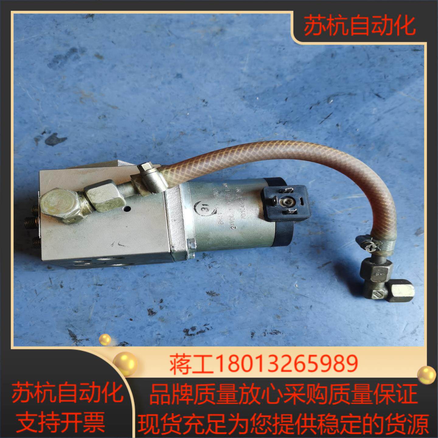 德国REBS/莱伯斯电磁泵MP4/0,1，实物拍照的，拆