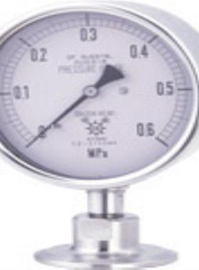 DAHCHI第一计器 压力表 PSF-A100-1.0S ATR3/8X75 HNT-221DB