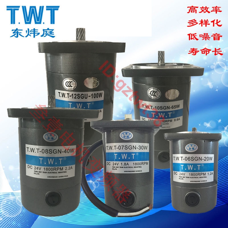 东炜庭电机TWT-06 07 08 10SGN 10SGU 12V 24V 90V 180V直流马达