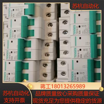 天正TGH1N-125 2P 100A21个，5，议价
